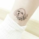 대구착한동물병원 이미지