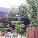 안젤라농장 이미지