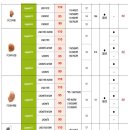 소노바코리아(유) 이미지