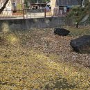 사월동 지석묘군 이미지