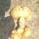 장동농장 이미지