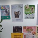 아크리스동물의료센터 이미지