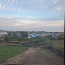 한동리만두 이미지