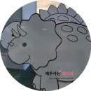 색놀이터제주 이미지