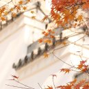 <흙 속의 숨결> 이미지