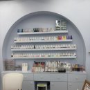 제이네일아트 | 결정장애도 바로 해결! 미엔느제이 달동점 1월 이달의아트 후기｜치크+자석네일 너무 예뻐💅