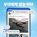 관악(신안스포츠클럽)주 | 🌊 "물이 두려왔던 나, 이젠 매주 바다로!" 해양 스포츠 동호회 '클럽하우스' 리더 김정용님 이야기 ⛵️