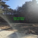 보광리경로당 네이버블로그