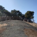 이사위묘 이미지