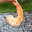 빙계군립공원 빙계3교 앞 화장실 | [빙계얼음골야영장] 대구근교/경북 의성 4인용 카라반 A7번 이용후기 (+매천수산시장,리틀맨리카페)