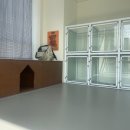 다녀오개습니다 이미지