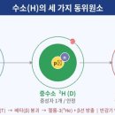 Ⅱ. 삼중수소의 위험성과 OBT(유기결합형 삼중수소)의 문제 [가와타 마사하루(河田昌東)] 이미지