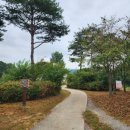 금산인삼골오토캠핑장 이미지