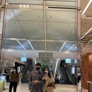 씨유 광교비즈니스센터점 | 곳.현대백화점 무역센터점(루이비통/챔프커피),가성비...조식)롯데월드 타워 전망대 서울스카이 후기