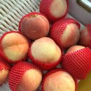 에덴농장 2 이미지