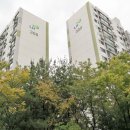 12.주공3단지 네이버블로그
