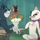 톰과 제리 이미지