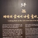 방어둔전 | [일상] 국립중앙박물관 광복 80주년 '우리들의 이순신' 특별전 후기