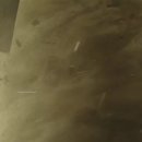 수홍상사 이미지