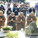 제주달로와 이미지