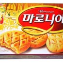 마가렛트 vs 마로니에 이미지