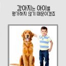 꿈꾸는동물병원 이미지