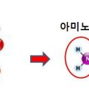 시스테인, NAC, 글루타티온, 알파리포산의 이해 이미지