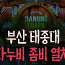 다누비 열차 이미지