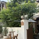 [신용산 맛집] 소개팅하기 좋은 카토 Katto 용리단길 뜨는 핫플레이스 디너세트 내돈내산 솔직후기