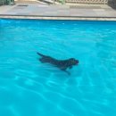 도기헤븐 이미지