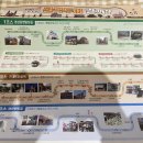 청라중앙약국 | 대구 근대골목투어 청라언덕 산책, 서문시장 주차