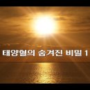 태양혈의 숨겨진 비밀 1-2 이미지