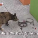 등골농장 이미지