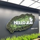 화산포목 | [제주 시장투어 ] 제주도시 동문시장/ 서귀포시 올레 시장 가격& 후기