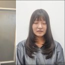 화이트홀헤어