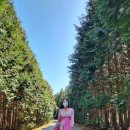 동편목장 이미지