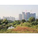 학운공원 쪽 이미지