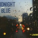 Midnight Blue - 하얀나비 & 블루스카이 이미지