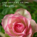 초등가베 이미지