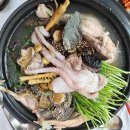 길낙지와 능이요리 이미지