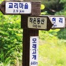 작은동산 등산코스545m-제천 동산896.2m 까치성산(작성산)848m 이미지