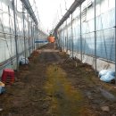 건영농장 이미지