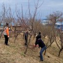 발한동행정복지센터 이미지