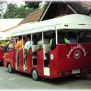 시간으로의여행 이미지