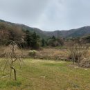 화순믿음공인중개사사무소 이미지