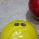 트윈스팜 이미지