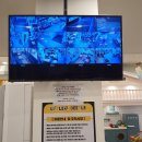 리틀비틀 이미지