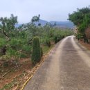 용진2농장 이미지