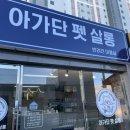 아가단 펫 살롱 이미지