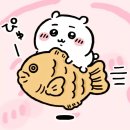 참잘왔다 | 홍대 붕어빵의 진심인 사장님의 '참잘왔다 붕어빵' 내돈내산 후기